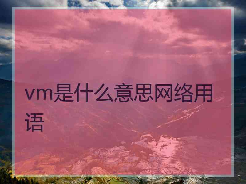 vm是什么意思网络用语