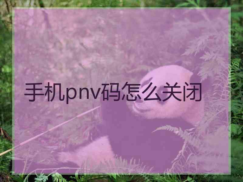 手机pnv码怎么关闭