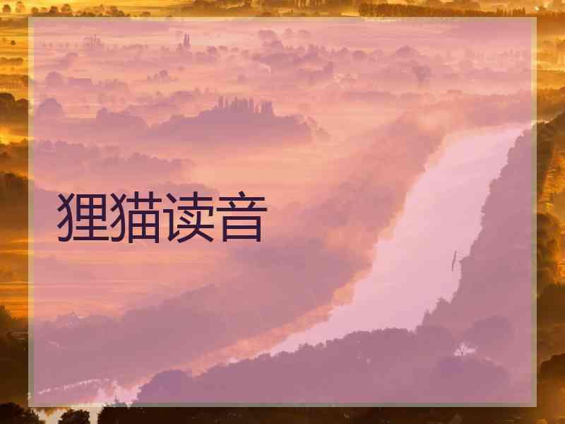 狸猫读音
