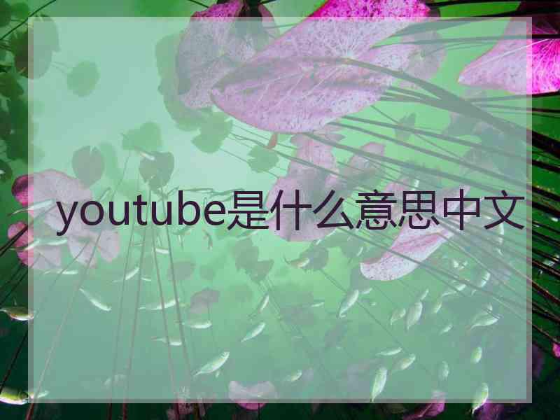 youtube是什么意思中文