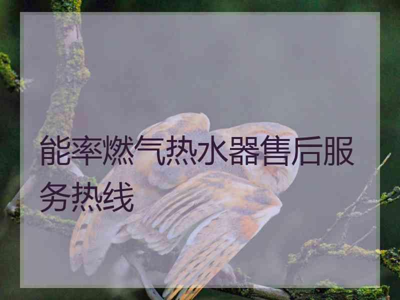 能率燃气热水器售后服务热线