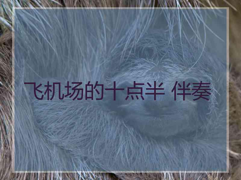 飞机场的十点半 伴奏