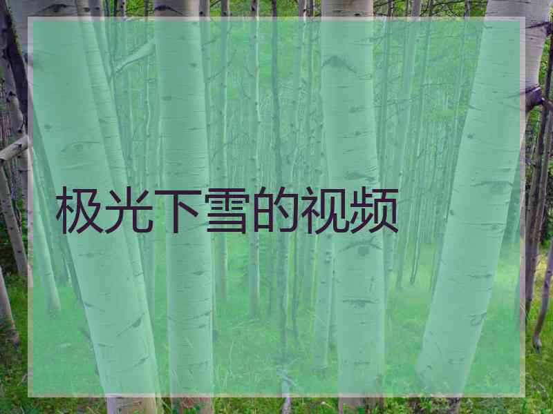 极光下雪的视频