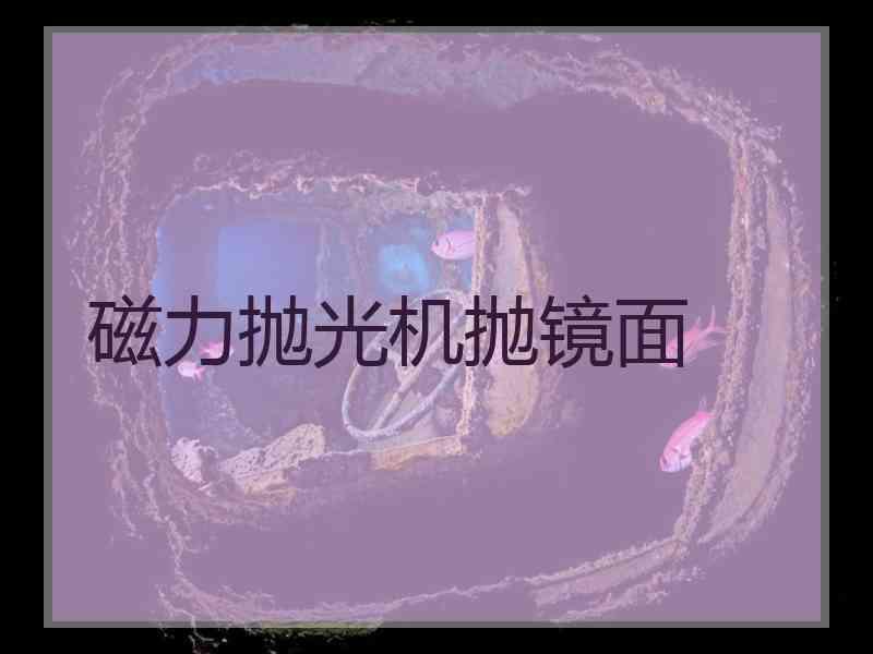 磁力抛光机抛镜面