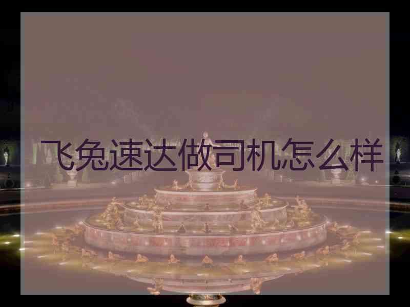 飞兔速达做司机怎么样