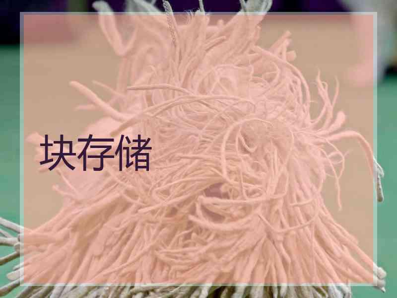 块存储