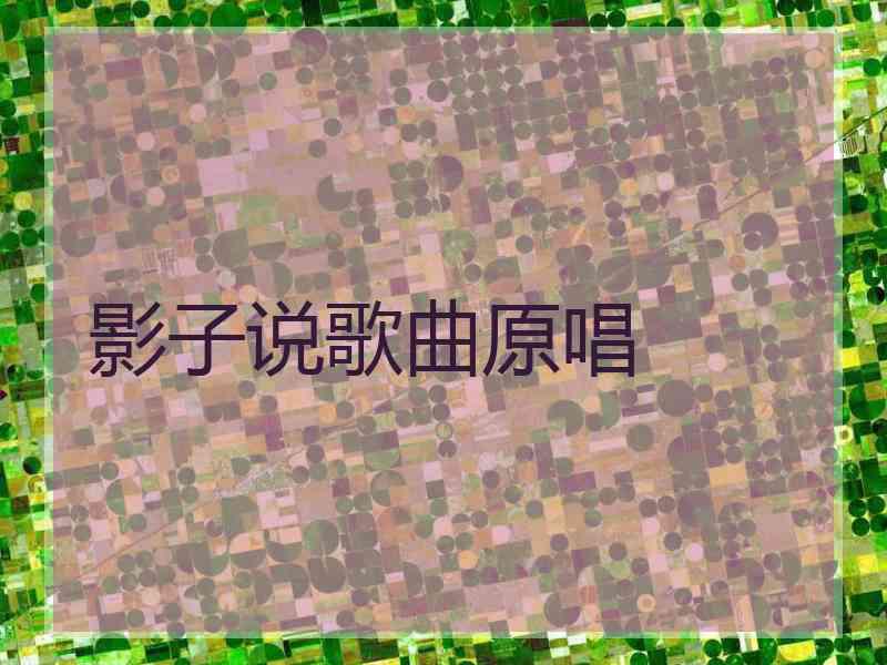 影子说歌曲原唱