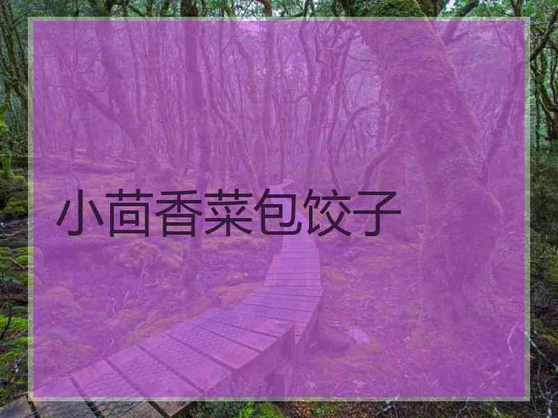 小茴香菜包饺子