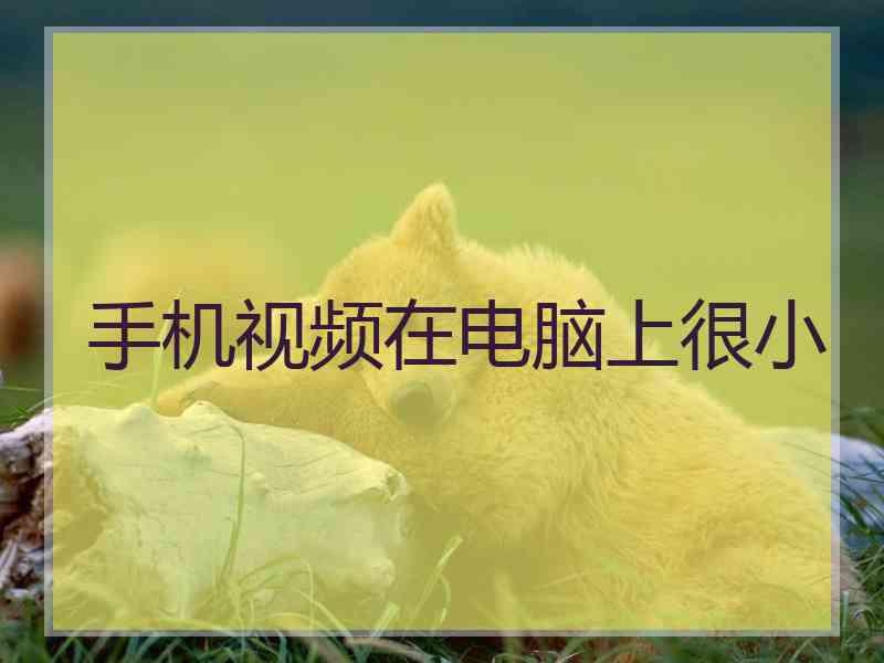 手机视频在电脑上很小
