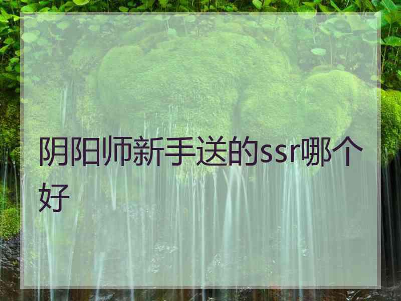 阴阳师新手送的ssr哪个好