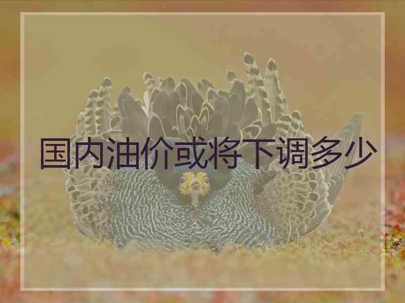 国内油价或将下调多少