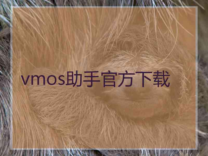 vmos助手官方下载