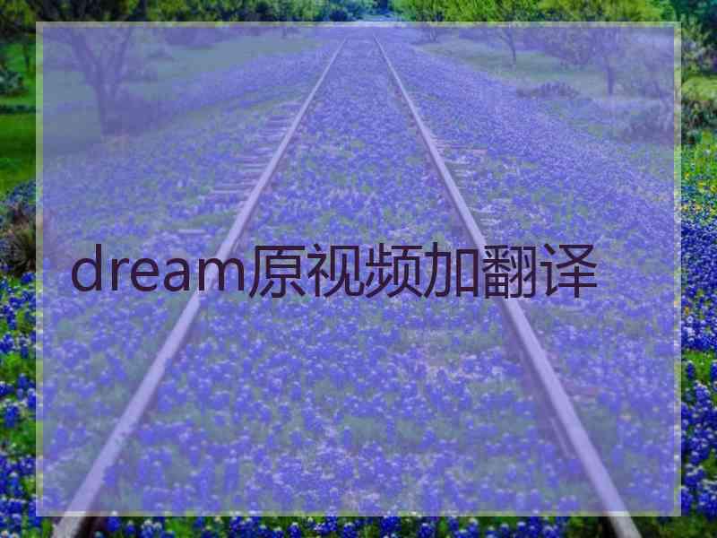 dream原视频加翻译