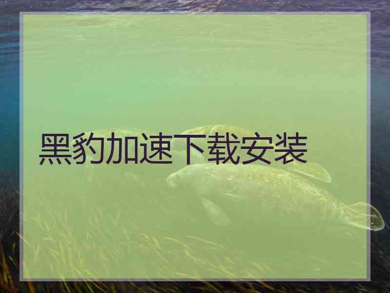 黑豹加速下载安装