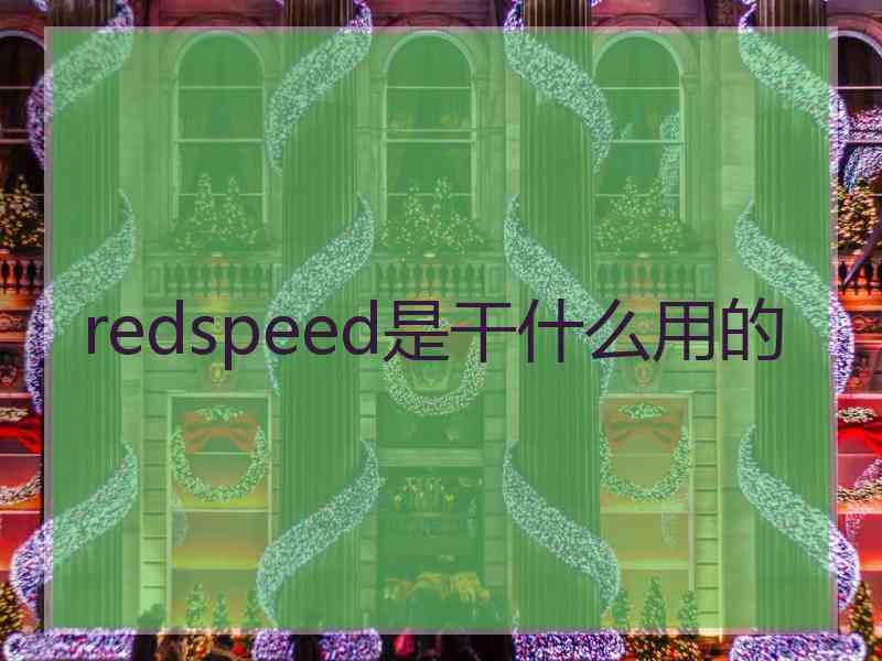 redspeed是干什么用的