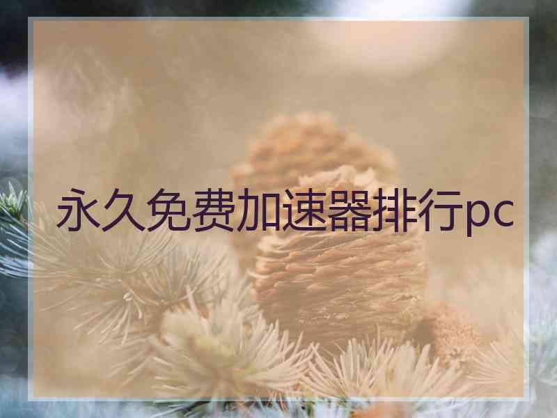 永久免费加速器排行pc