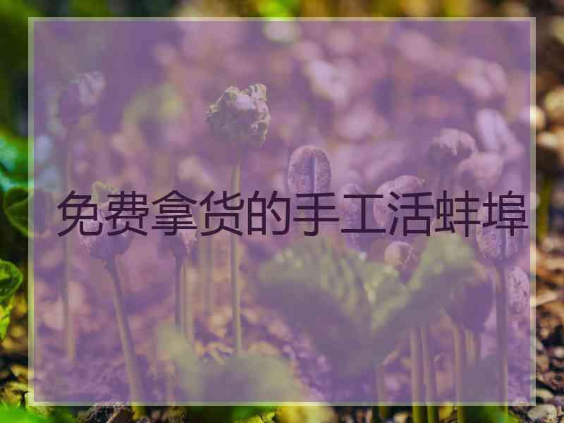 免费拿货的手工活蚌埠