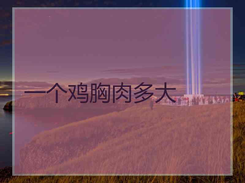 一个鸡胸肉多大
