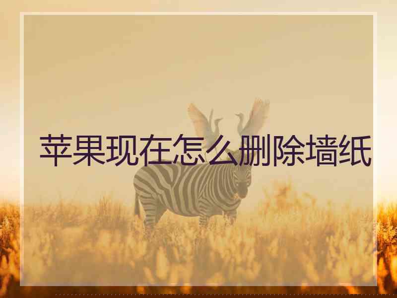 苹果现在怎么删除墙纸
