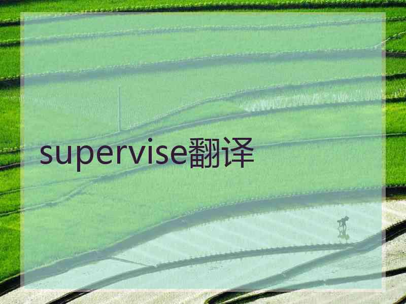 supervise翻译