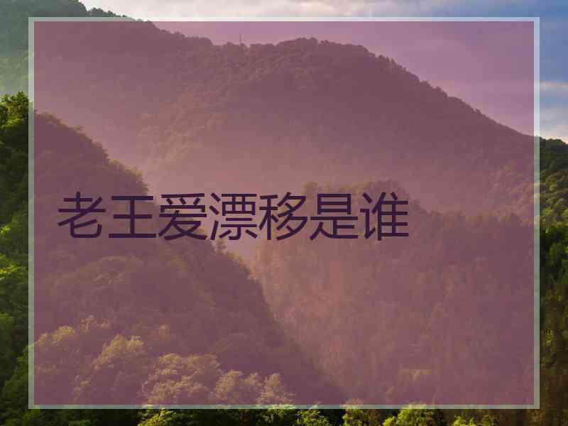 老王爱漂移是谁