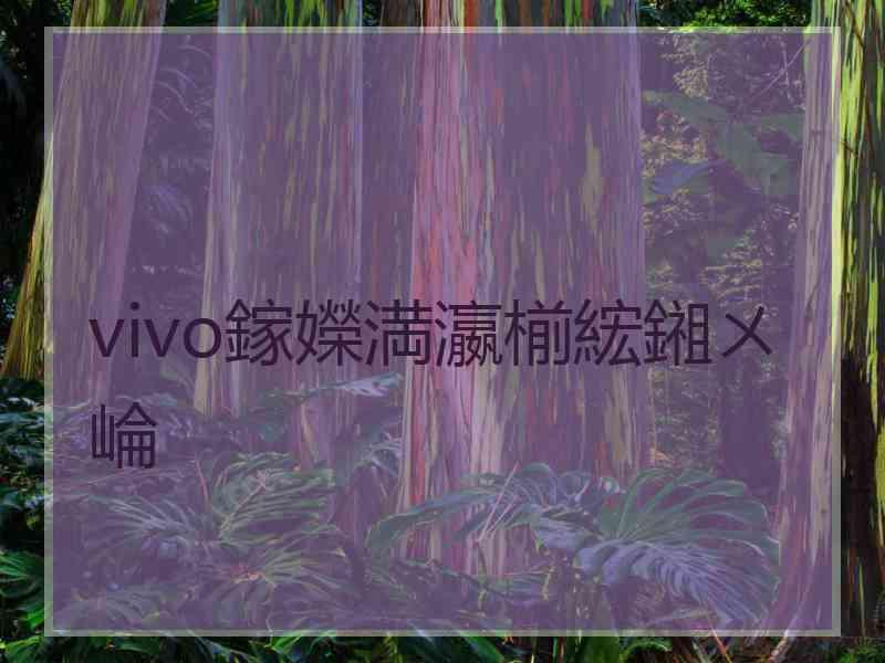 vivo鎵嬫満瀛椾綋鎺ㄨ崘