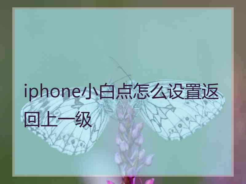 iphone小白点怎么设置返回上一级