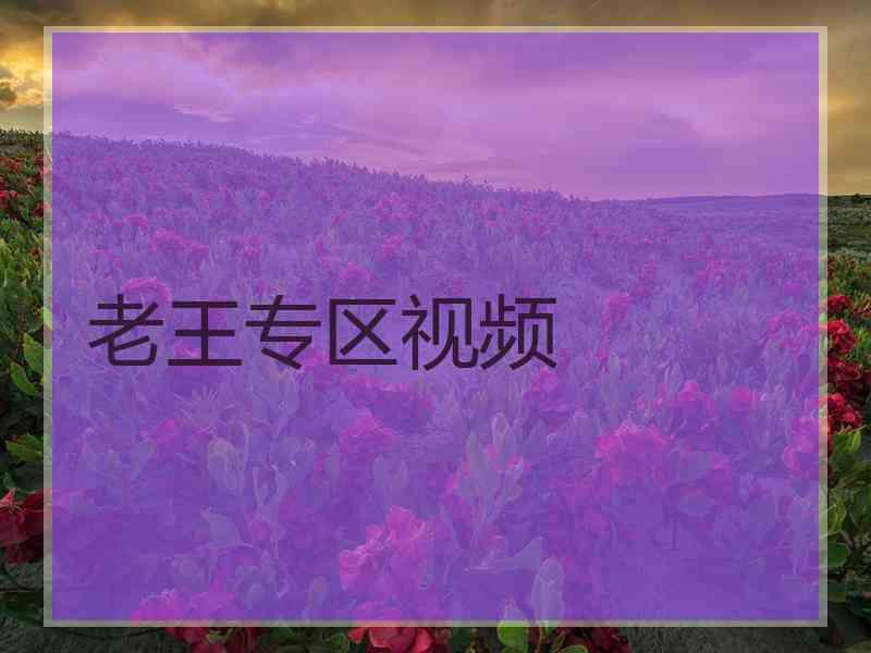 老王专区视频