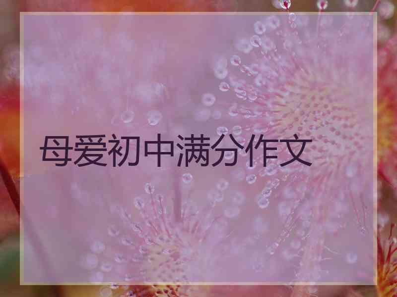 母爱初中满分作文