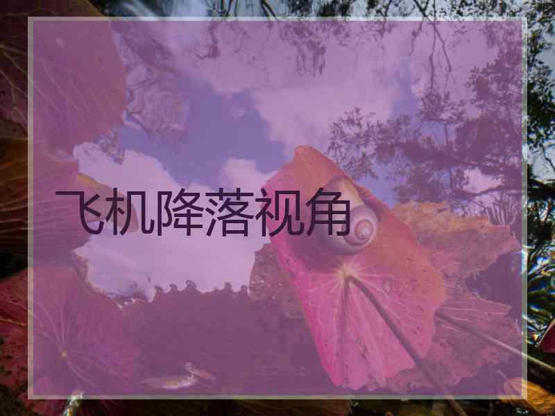 飞机降落视角