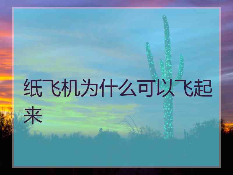 纸飞机为什么可以飞起来