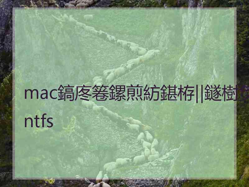 mac鎬庝箞鏍煎紡鍖栫‖鐩樹负ntfs