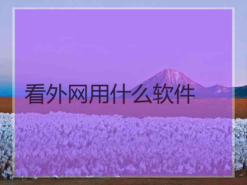 看外网用什么软件