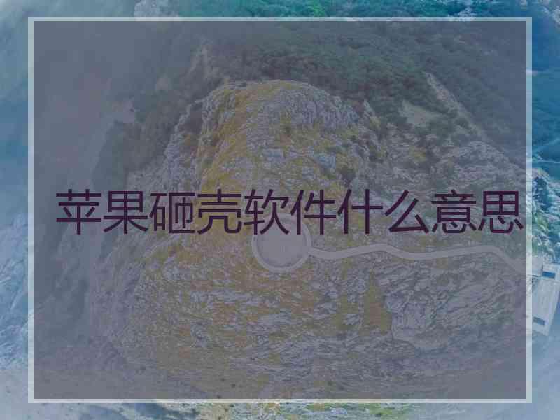 苹果砸壳软件什么意思