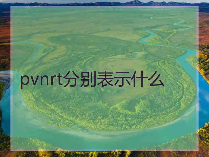 pvnrt分别表示什么