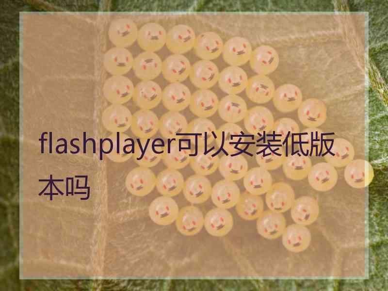 flashplayer可以安装低版本吗