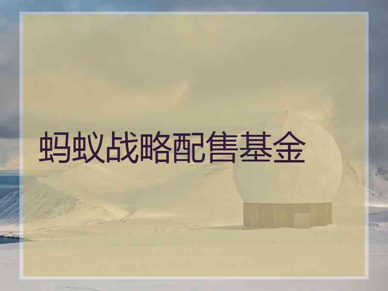 蚂蚁战略配售基金