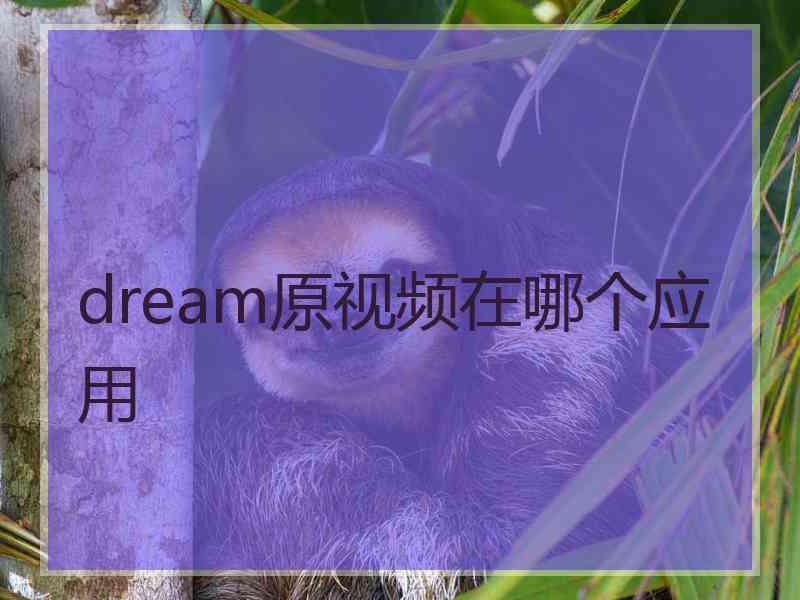 dream原视频在哪个应用