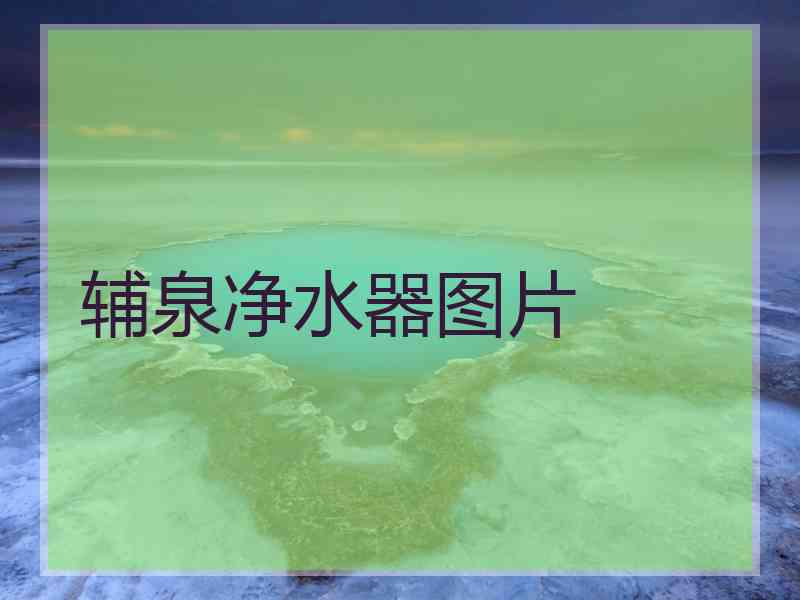 辅泉净水器图片