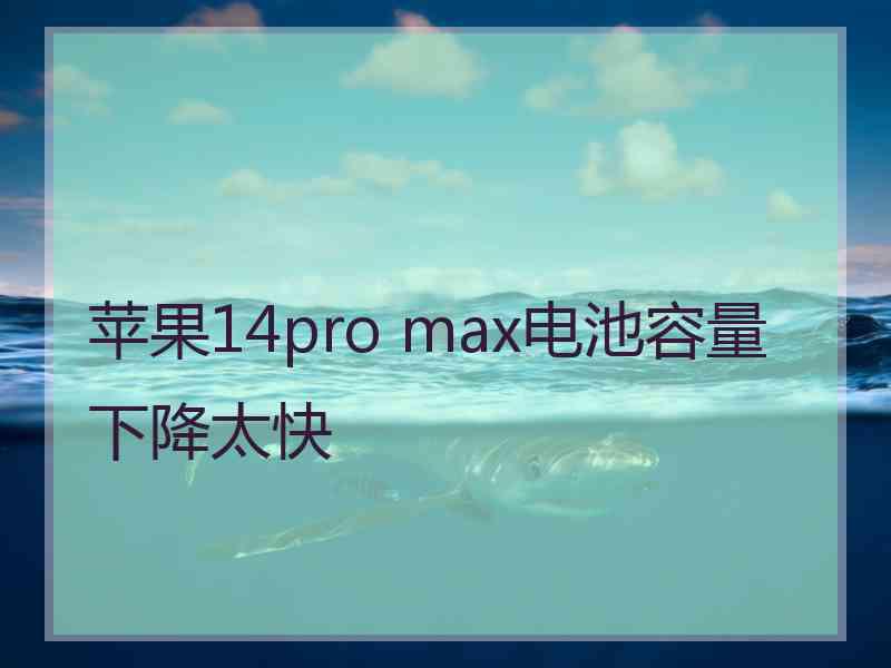 苹果14pro max电池容量下降太快