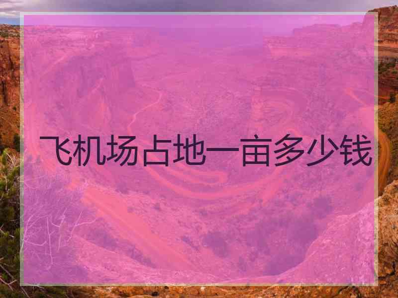 飞机场占地一亩多少钱