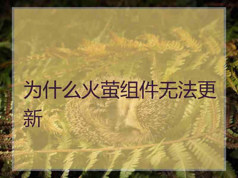 为什么火萤组件无法更新