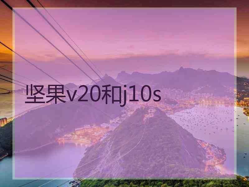 坚果v20和j10s