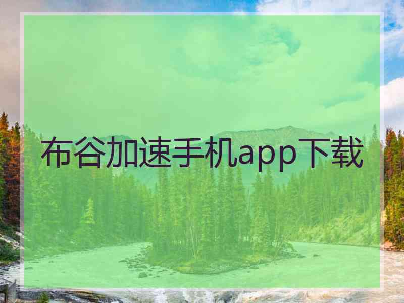布谷加速手机app下载