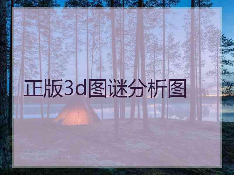 正版3d图谜分析图