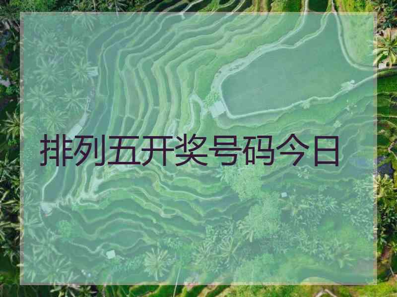 排列五开奖号码今日
