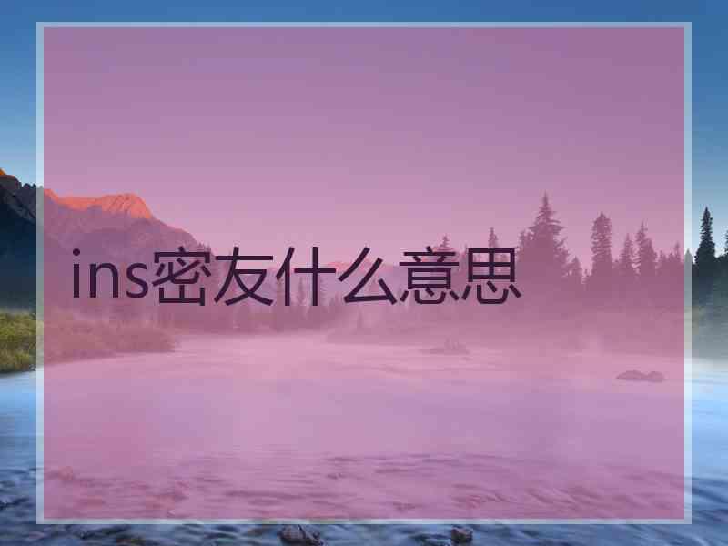 ins密友什么意思