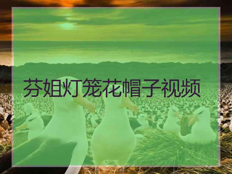 芬姐灯笼花帽子视频