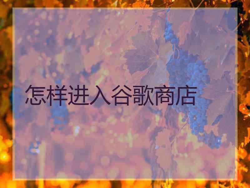 怎样进入谷歌商店