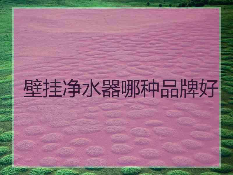 壁挂净水器哪种品牌好